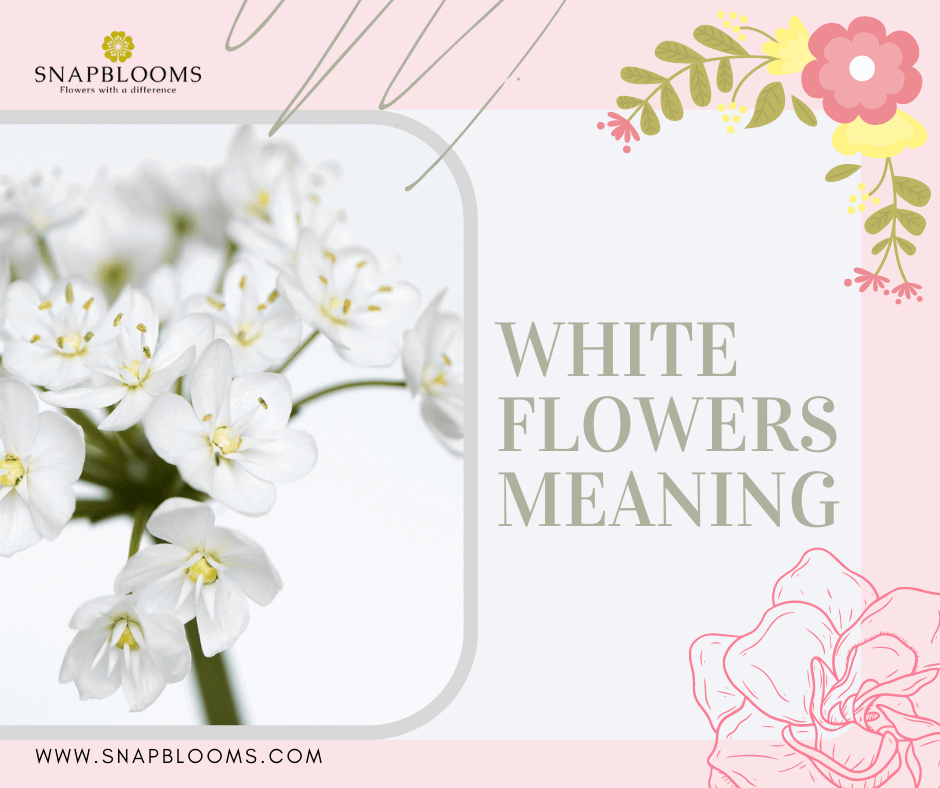 What Does White Flowers Mean Spiritually