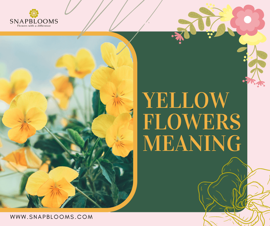 What do Yellow Flowers Mean? SnapBlooms Blogs