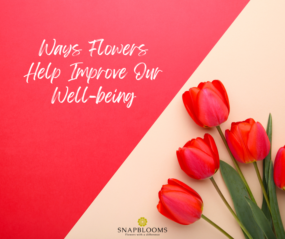 5 Ways Flowers Help Improve Our Wellbeing SnapBlooms Blogs