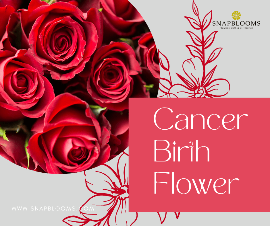 What are the Cancer Birth Flower and their Meanings? SnapBlooms Blogs