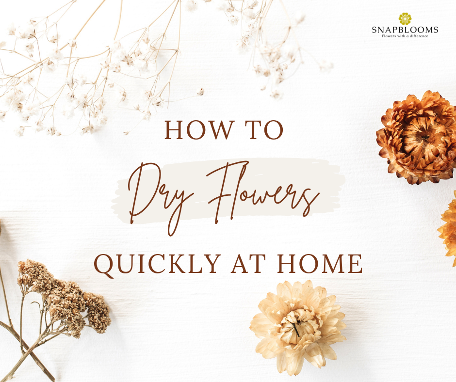 A Fast Way To Dry Flowers