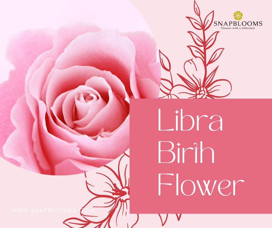 Libra Astrological Flower Essence