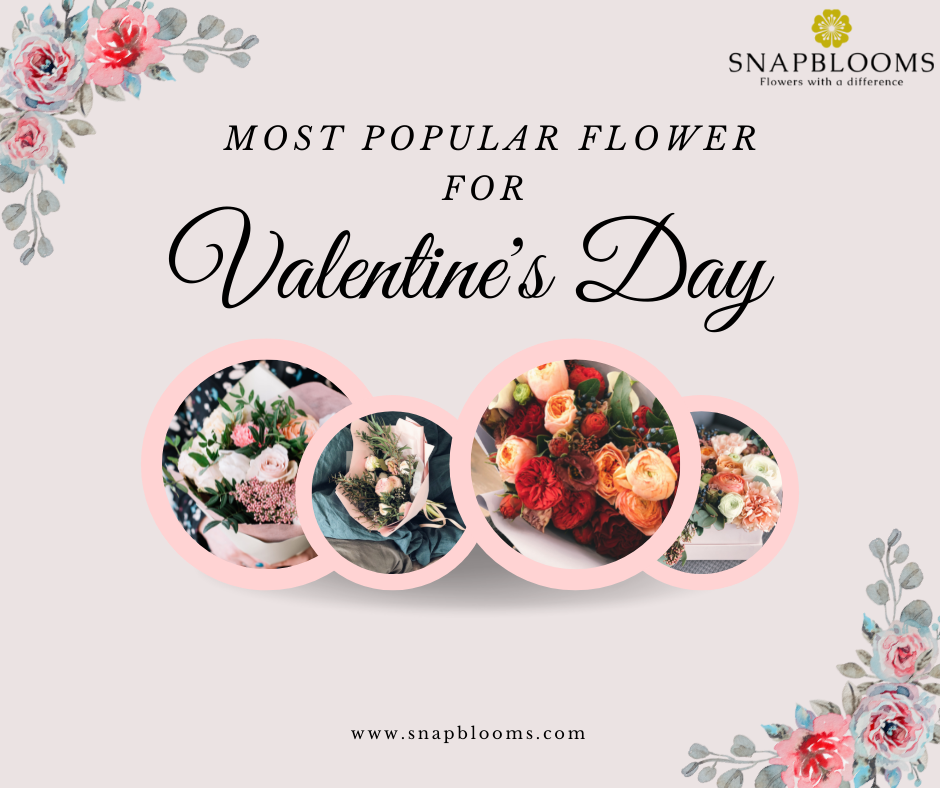 Most Popular Flower for Valentine's Day SnapBlooms Blogs