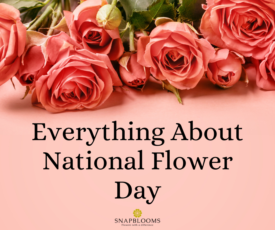 Everything About National Flower Day SnapBlooms Blogs