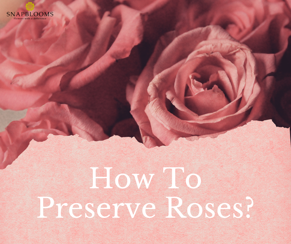 How To Preserve Roses? SnapBlooms Blogs