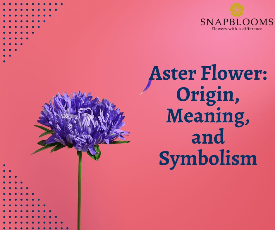 september aster flower meaning