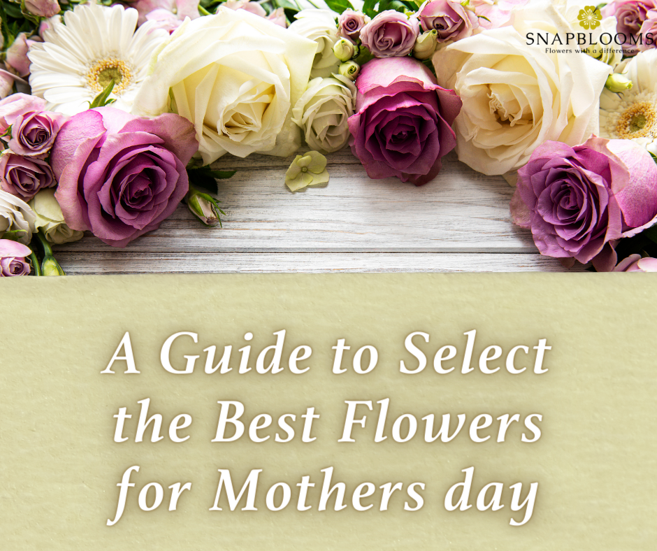 A Guide to Select the Best Flowers for Mothers day SnapBlooms Blogs