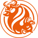 FXOpen logo