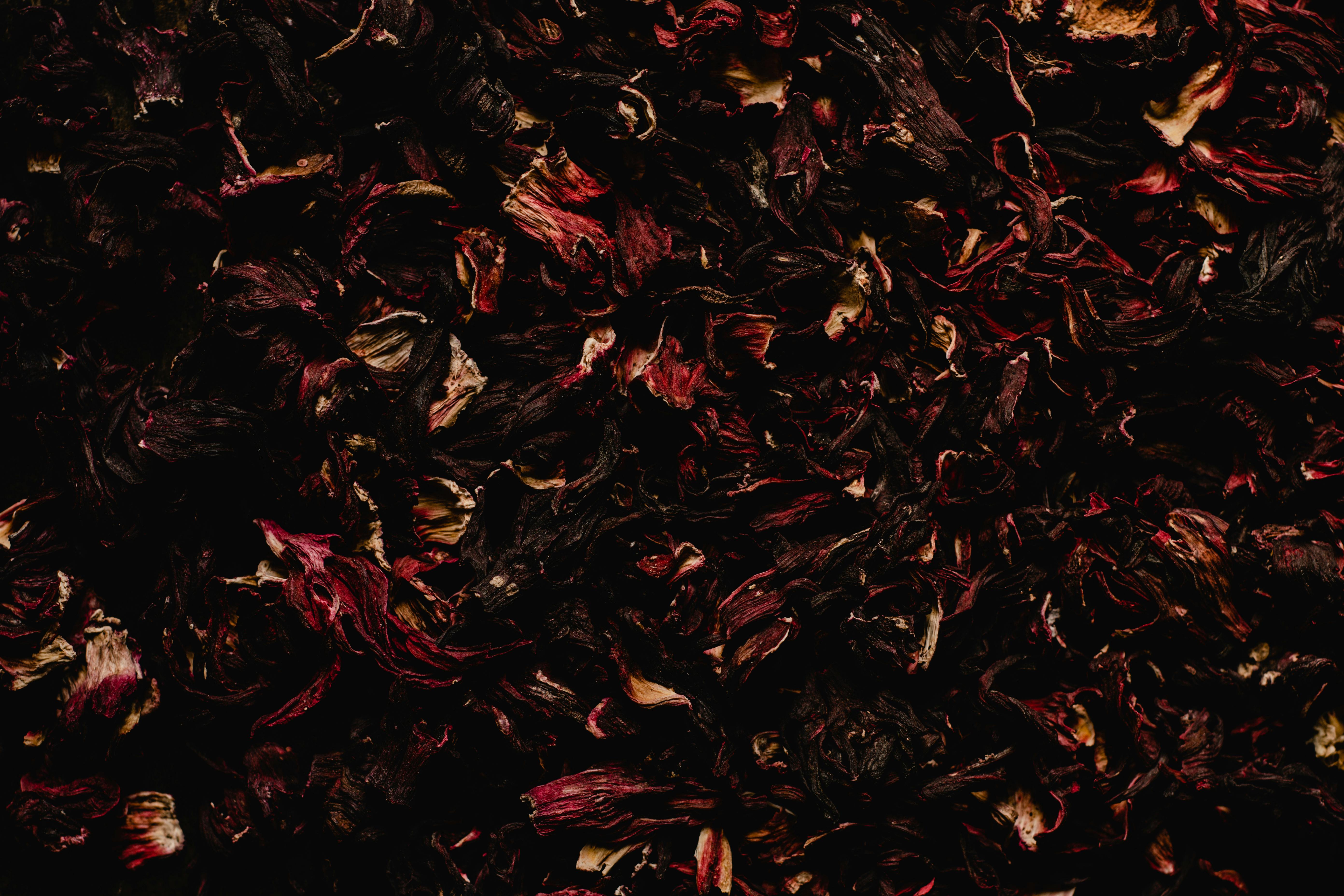 Hibiscus péï