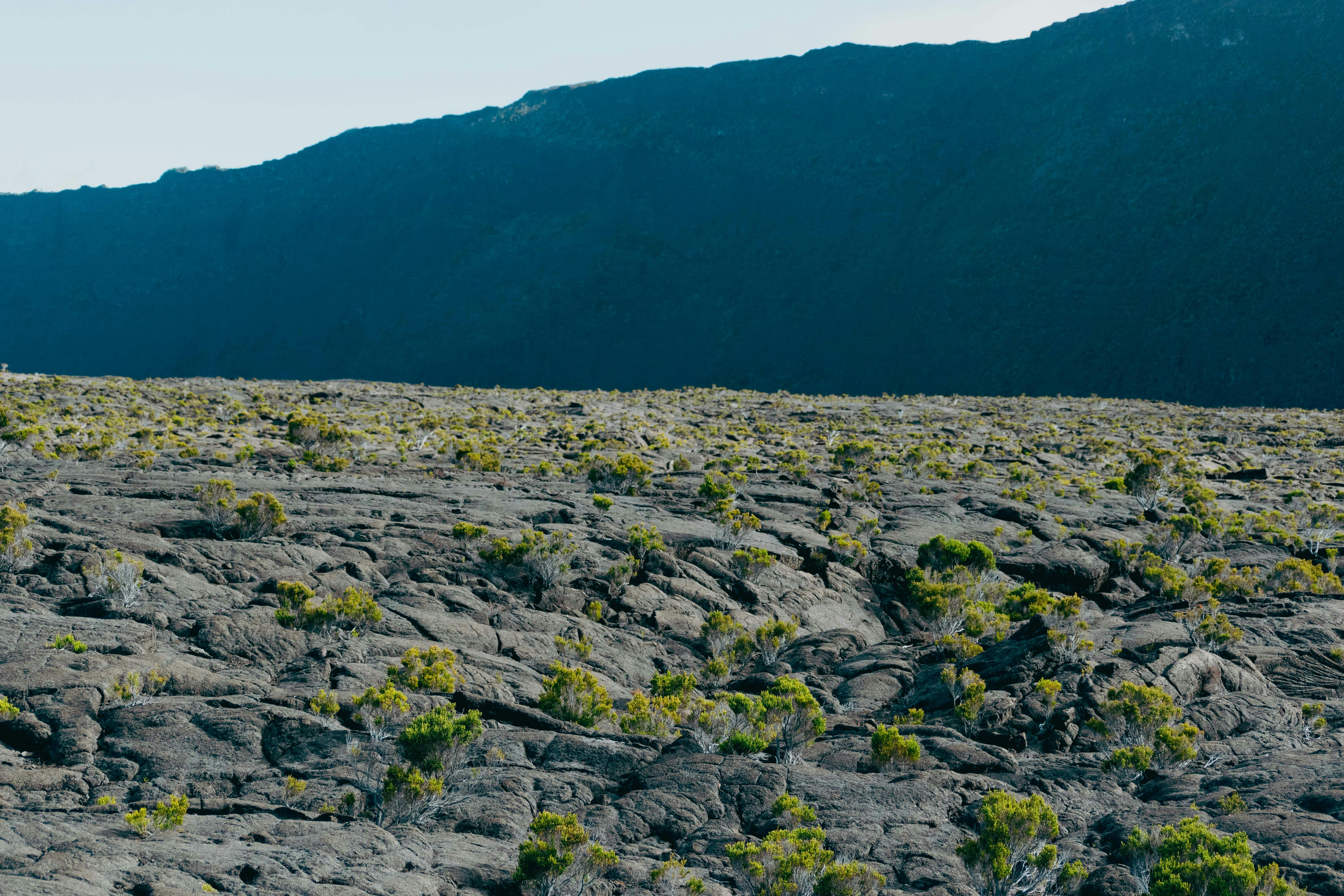 Volcan Réunion