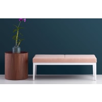 Livy Bench