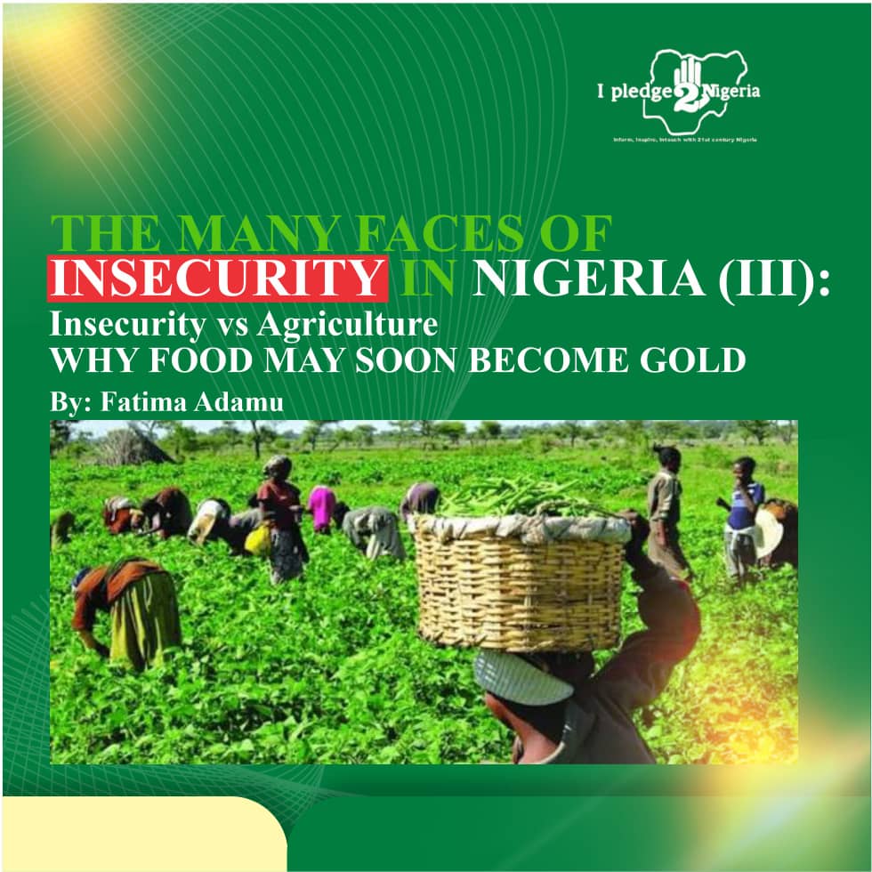THE MANY FACES OF INSECURITY IN NIGERIA III: INSECURITY VS. AGRICULTURE — WHY FOOD MAY SOON BECOME GOLD : Fatima Adamu