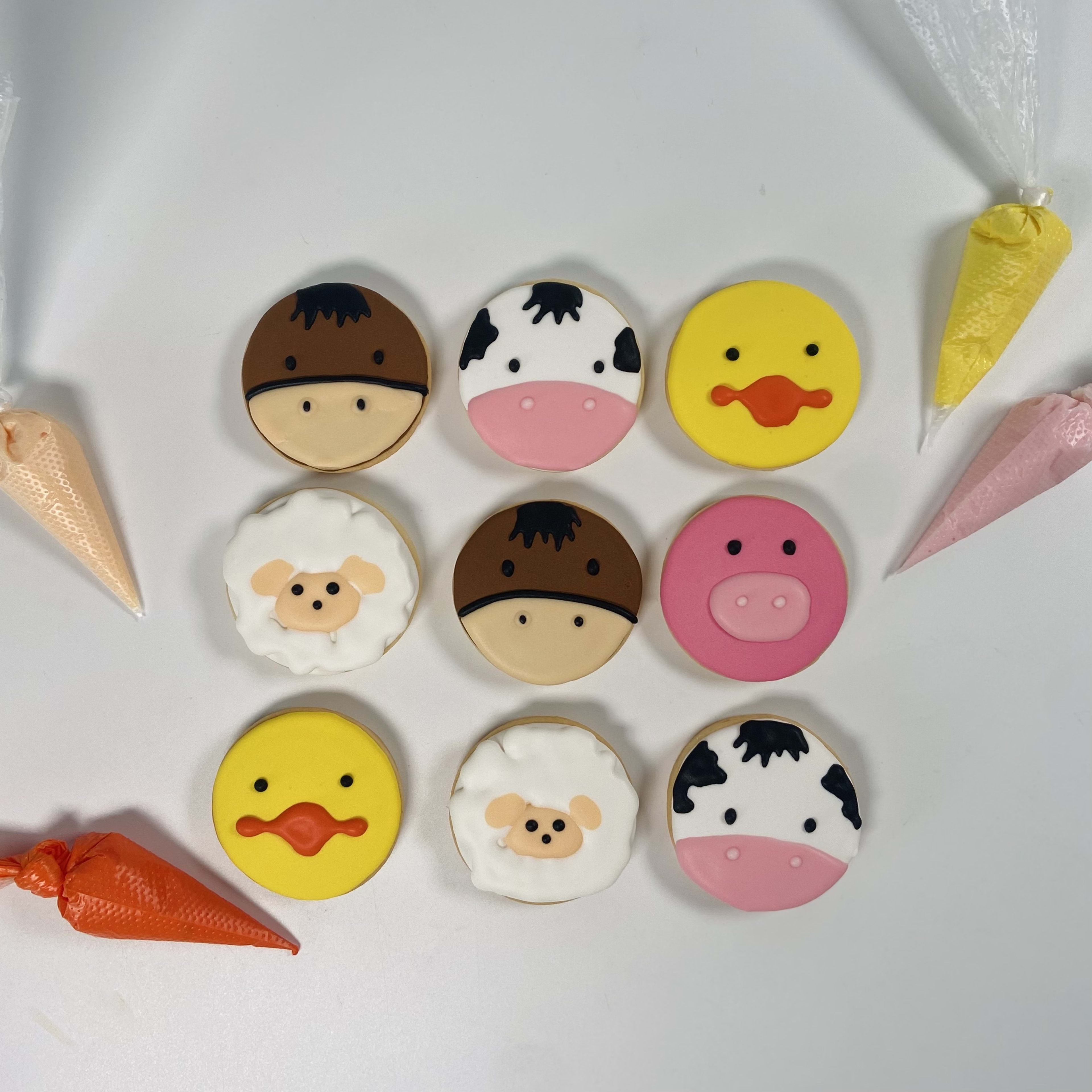 Animal Sugar Cookie Class