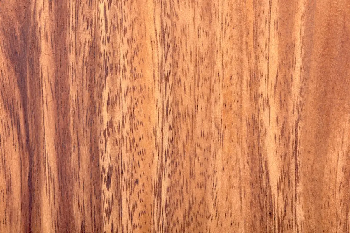 Future of Acacia Hardwood in Home Design in 2024 Future of Acacia Hardwood in Home Design in 2024