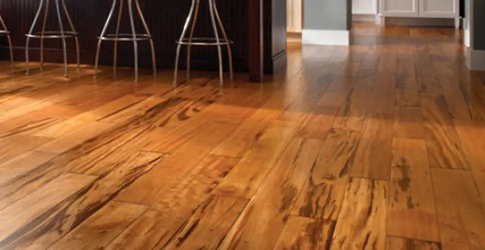 Future of Acacia Hardwood in Home Design in 2024 Future of Acacia Hardwood in Home Design in 2024