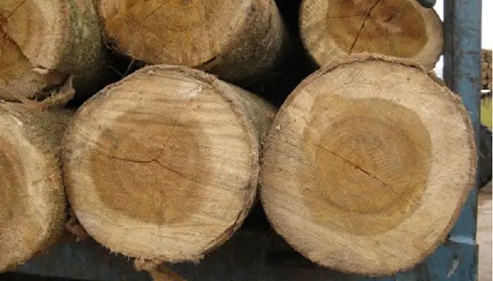 Design Ideas and Inspiration for Incorporating Acacia Lumber