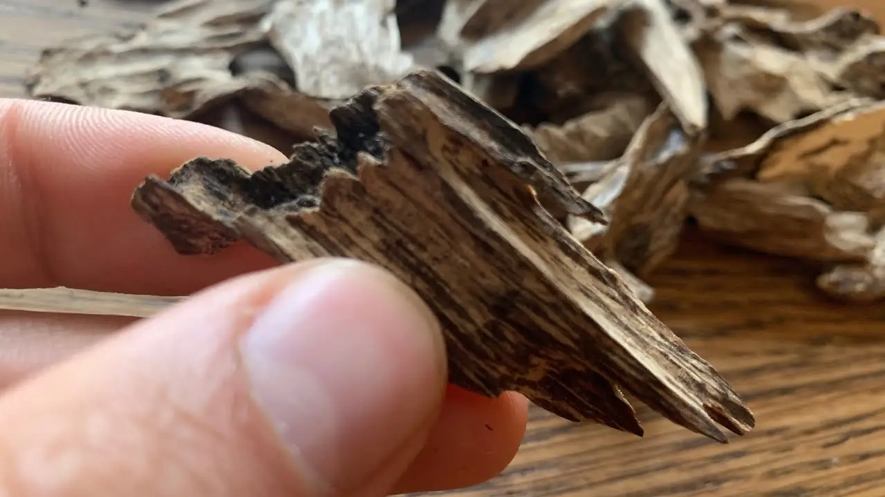 <strong>Wholesale Agarwood in Vietnam</strong> is the best for Purchasing and import