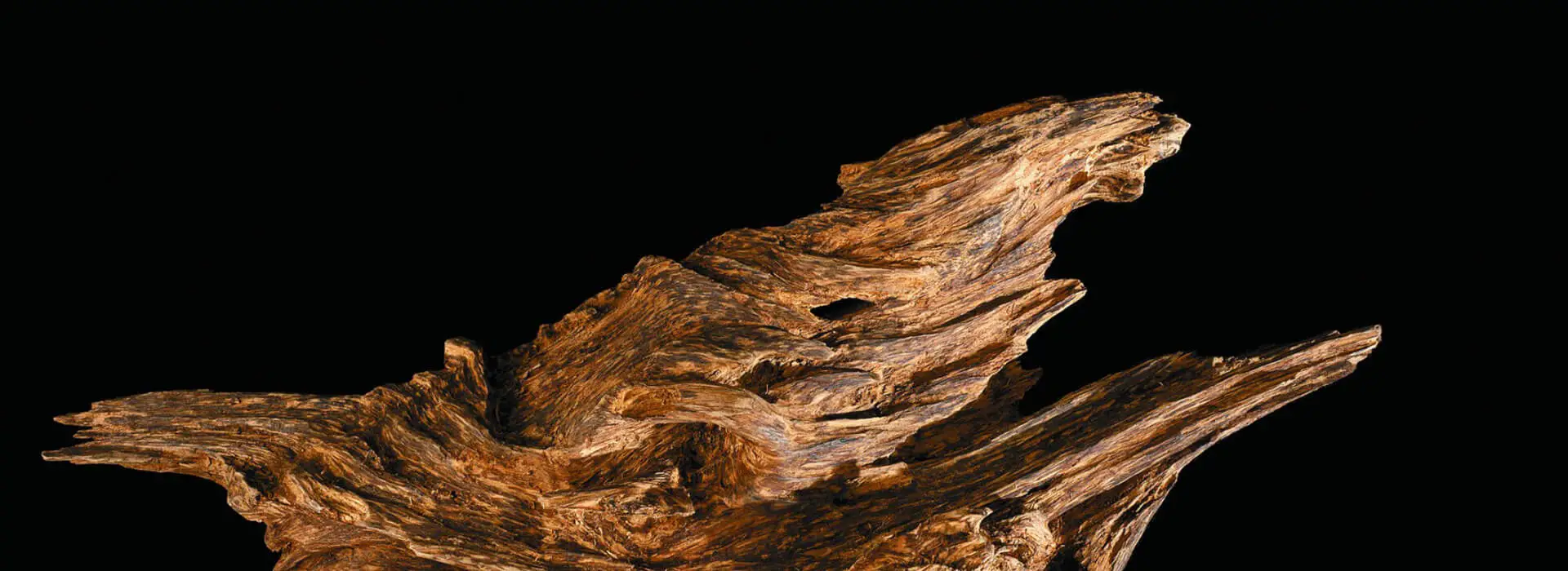 <strong>Wholesale Agarwood in Vietnam</strong> is the best for Purchasing and import