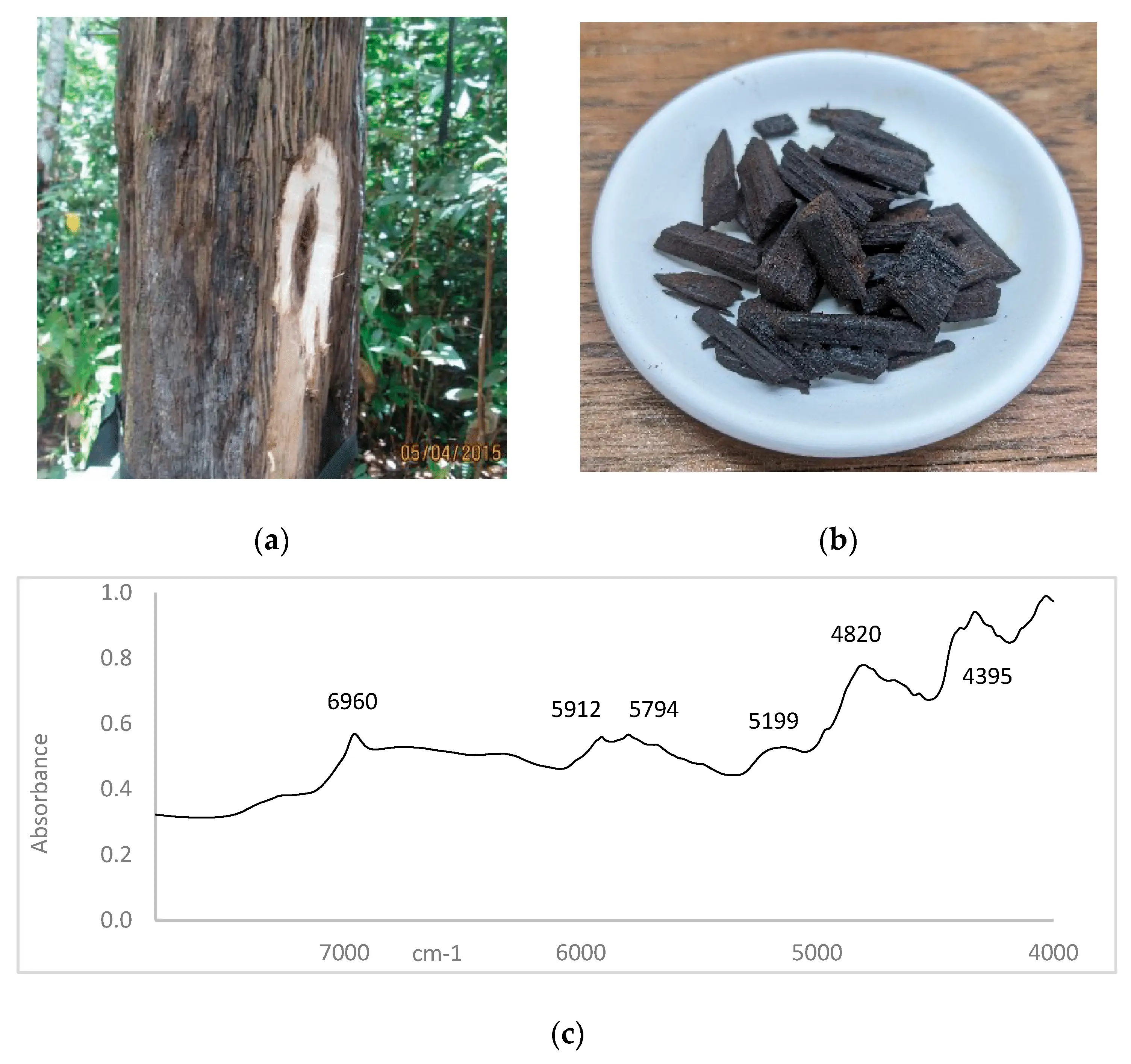 <strong>Wholesale Agarwood in Vietnam</strong> is the best for Purchasing and import
