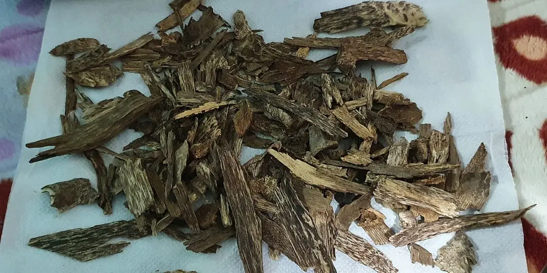 The Country with the Best Natural <strong>Agarwood in the World</strong>