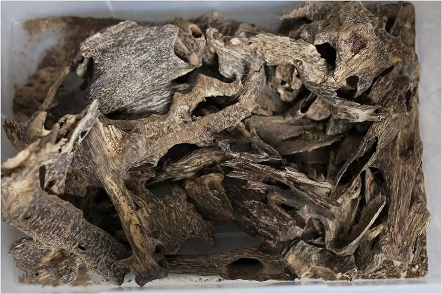 The Country with the Best Natural <strong>Agarwood in the World</strong>