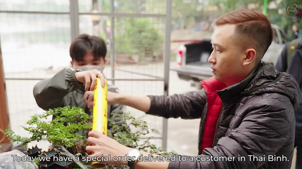 The Art of Vietnamese Miniature Landscapes A Journey into Vietnamese Tradition