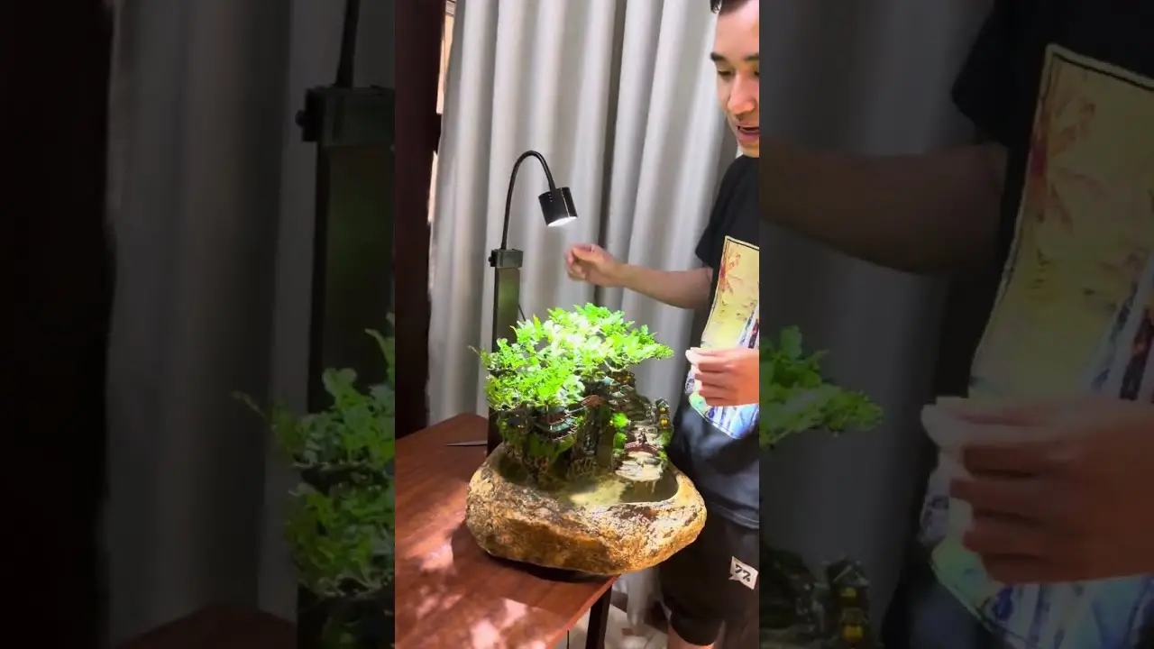 Finding Serenity in Miniature The Allure of Tabletop Zen Gardens Finding Serenity in Miniature The Allure of Tabletop Zen Gardens