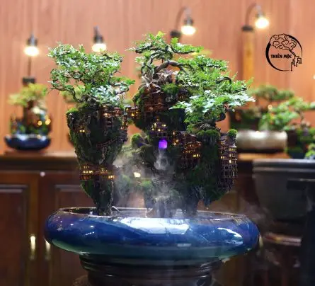 Finding Serenity in Miniature The Allure of Tabletop Zen Gardens Finding Serenity in Miniature The Allure of Tabletop Zen Gardens