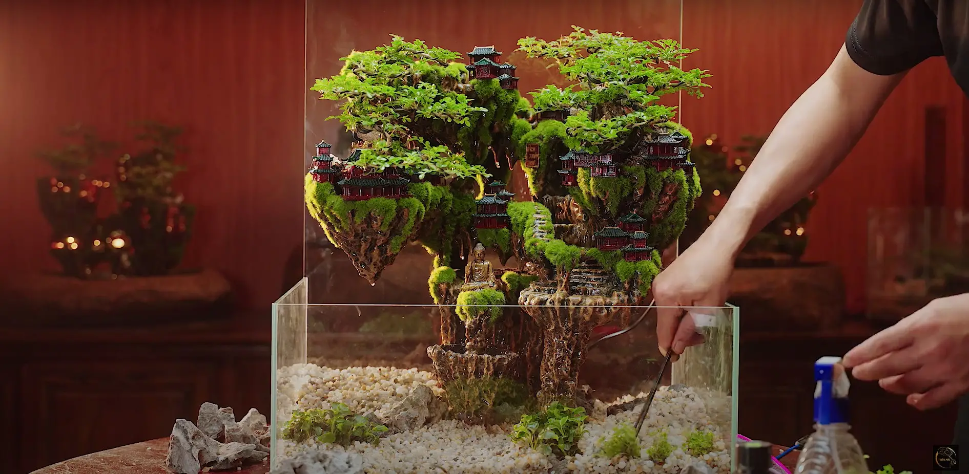 Finding Serenity in Miniature The Allure of Tabletop Zen Gardens Finding Serenity in Miniature The Allure of Tabletop Zen Gardens