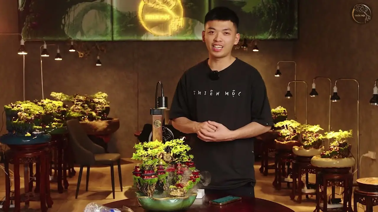 Finding Serenity in Miniature The Allure of Tabletop Zen Gardens Finding Serenity in Miniature The Allure of Tabletop Zen Gardens