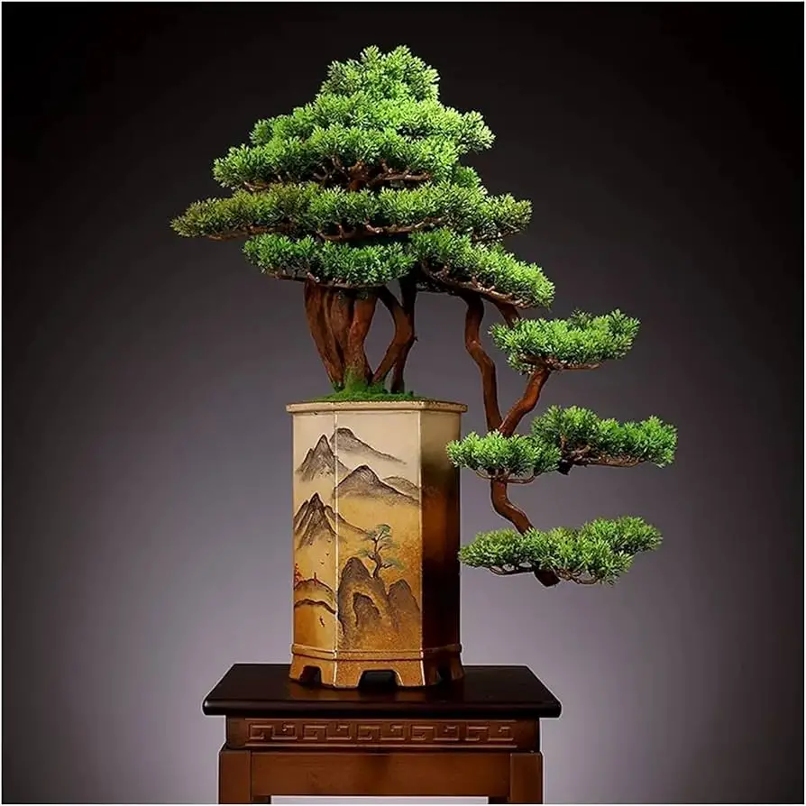 The Art of Decorative Bonsai Transforming Nature into Miniature Masterpieces