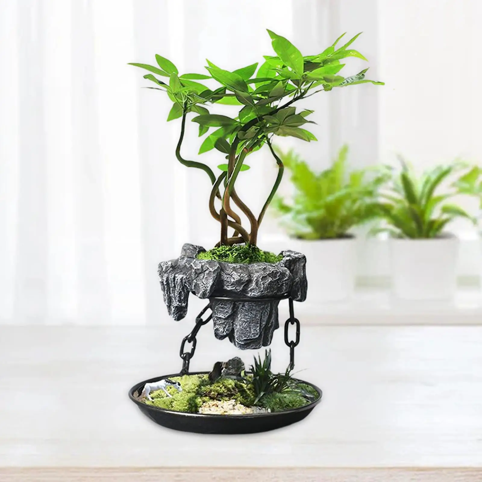 The Art of Decorative Bonsai Transforming Nature into Miniature Masterpieces
