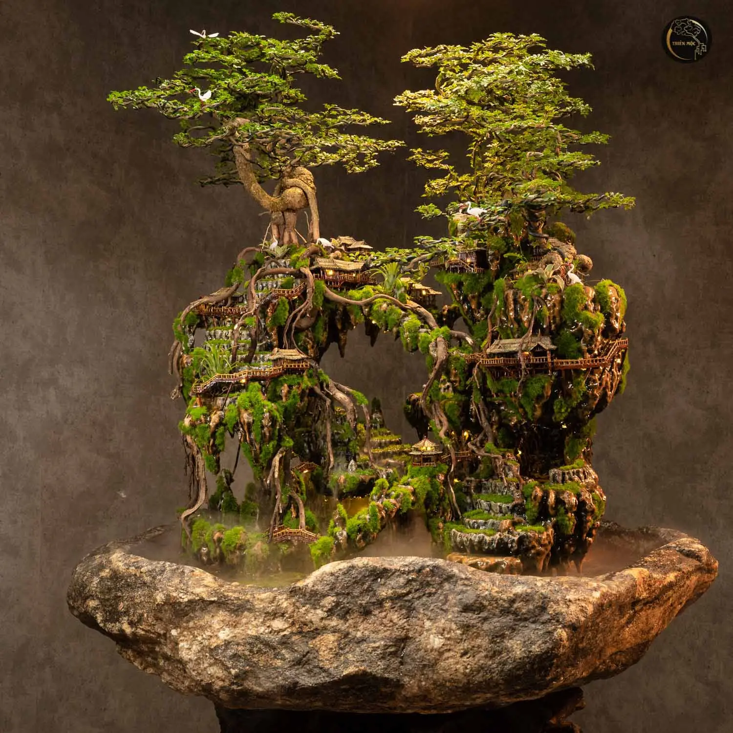 the art of table bonsai miniature trees for indoor elegance 66857b4a6305f 66857b4b0673c