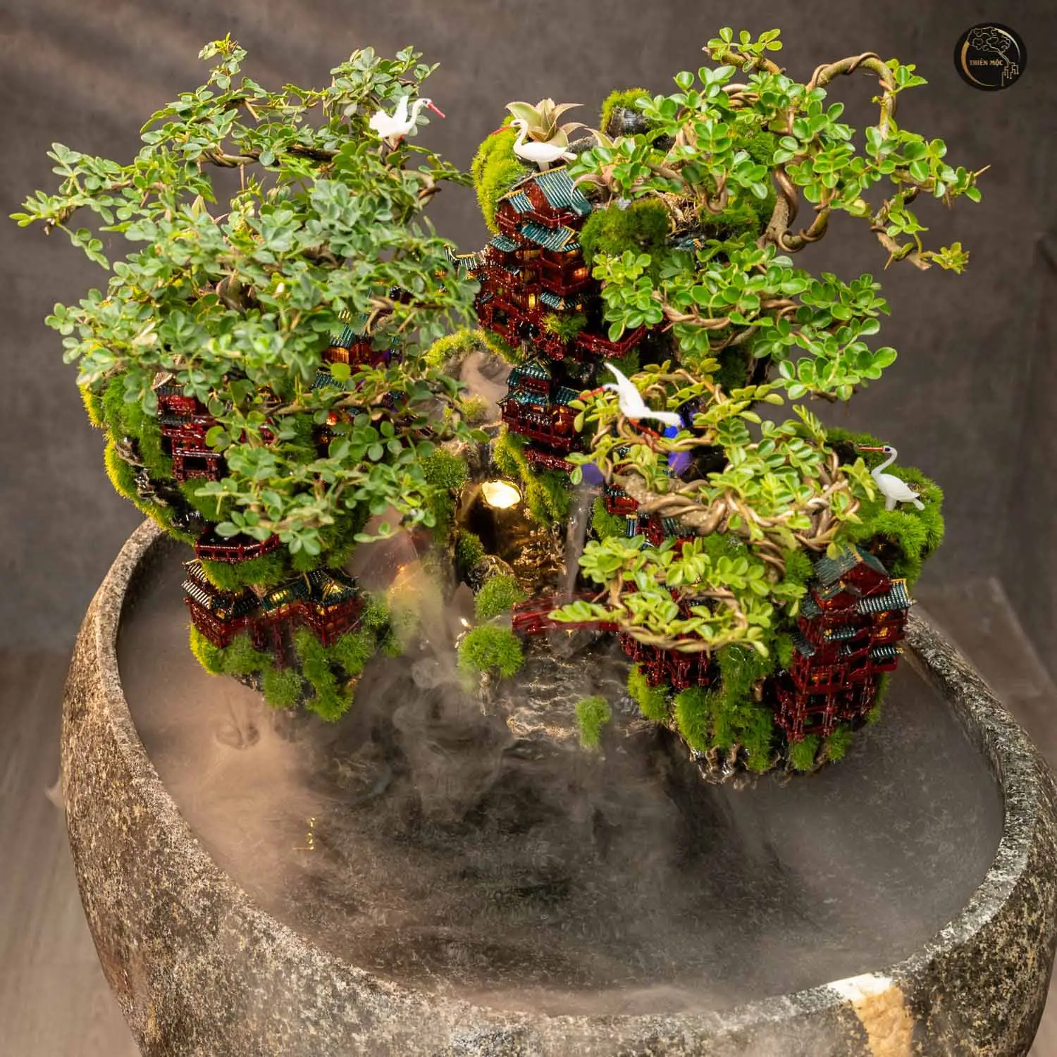 the art of table bonsai miniature trees for indoor elegance 66857b6eaefdf 66857b6f58802