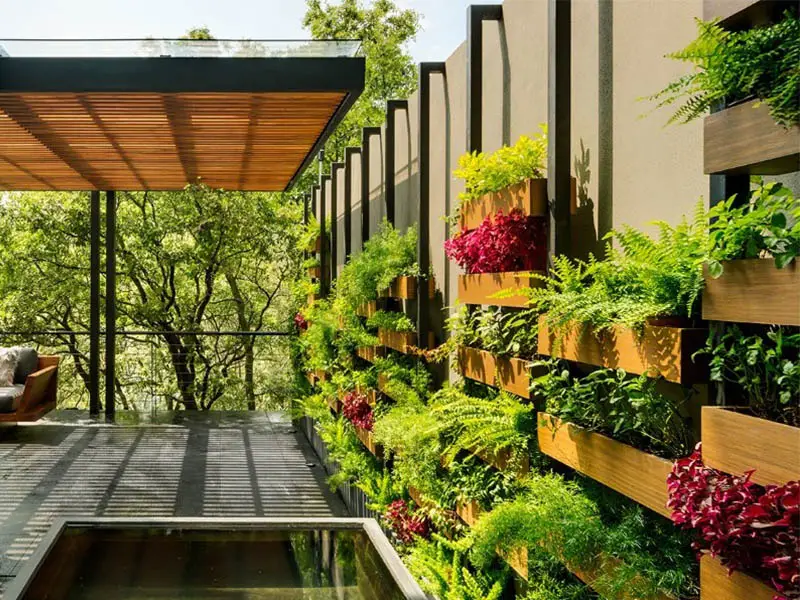 Vertical Gardens A Greener and More Sustainable Urban Landscape