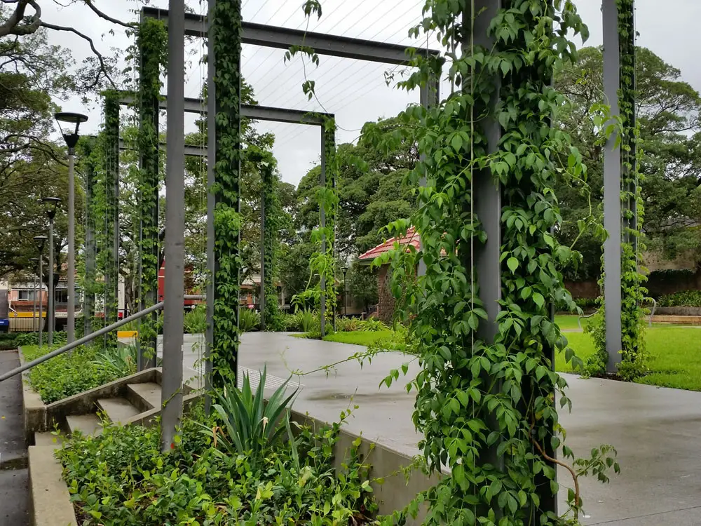 Vertical Gardens A Greener and More Sustainable Urban Landscape