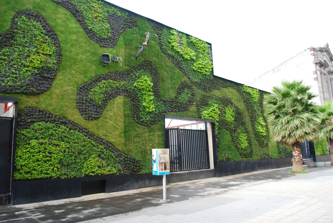 Vertical Gardens A Greener and More Sustainable Urban Landscape