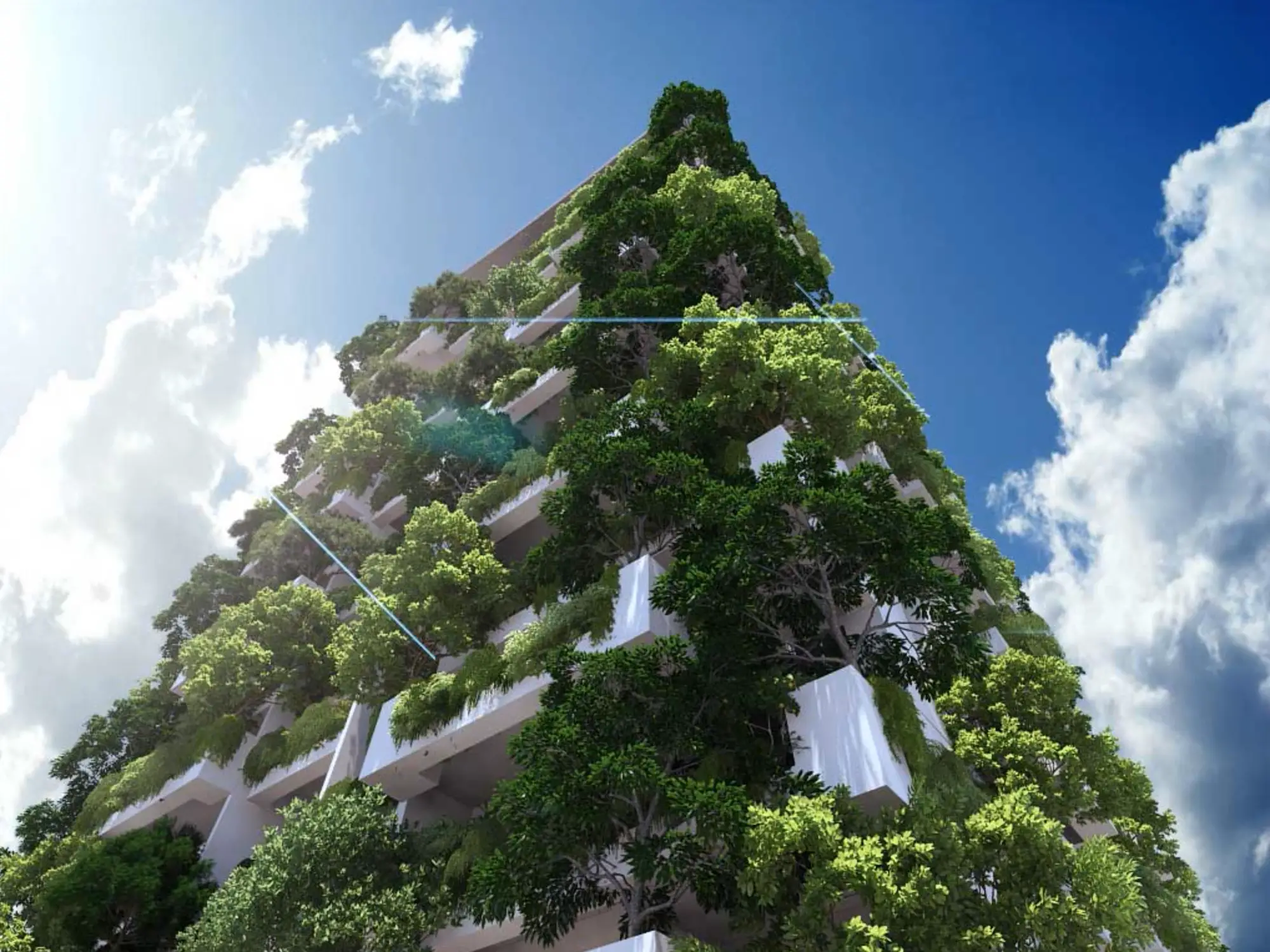 Vertical Gardens A Greener and More Sustainable Urban Landscape