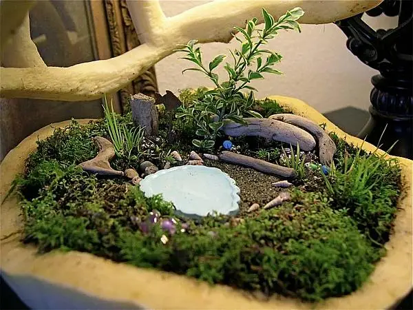 Miniature Garden Magic A Guide to Creating Your Own Enchanted World