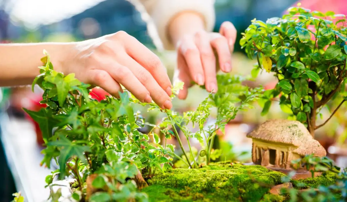 Miniature Garden Magic A Guide to Creating Your Own Enchanted World