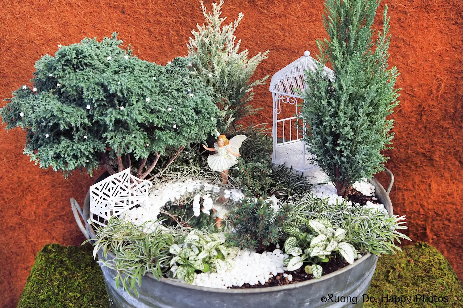 Miniature Garden Magic A Guide to Creating Your Own Enchanted World