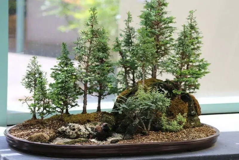 Mini Bonsai A Guide to Cultivating Tiny Trees