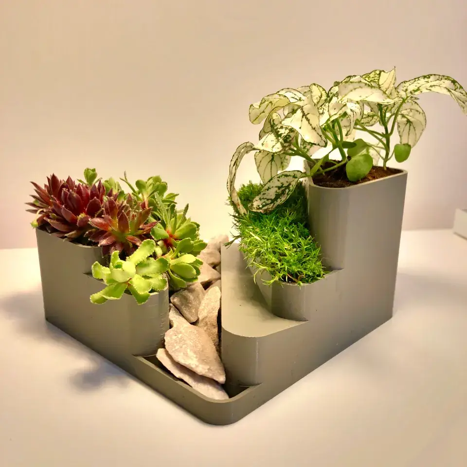 Mini Rockery A Guide to Creating a Tiny Landscape