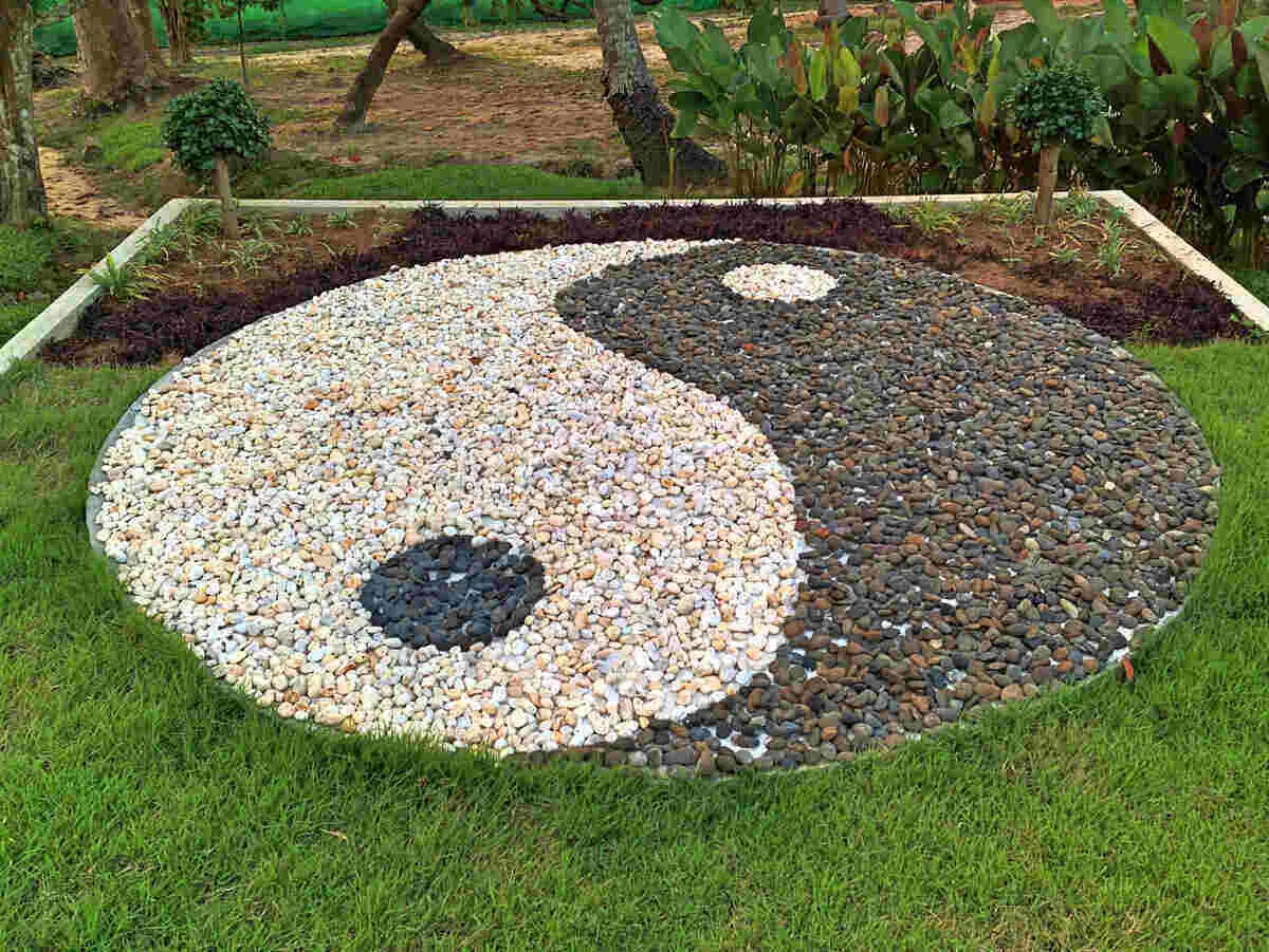 Mini Rockery A Guide to Creating a Tiny Landscape