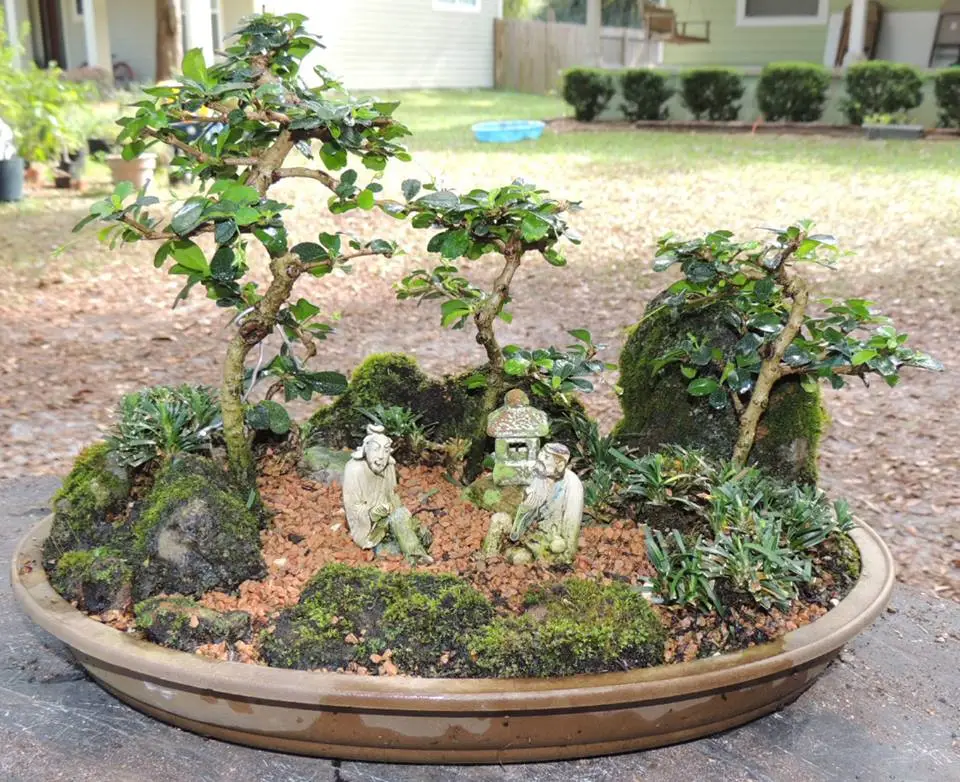 Miniature Landscapes A World in Miniature