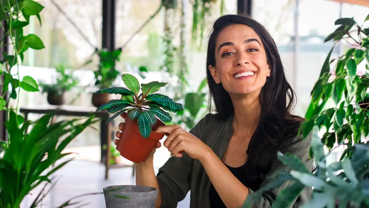 The Power of Green Enhancing Your Office Space with Plants
