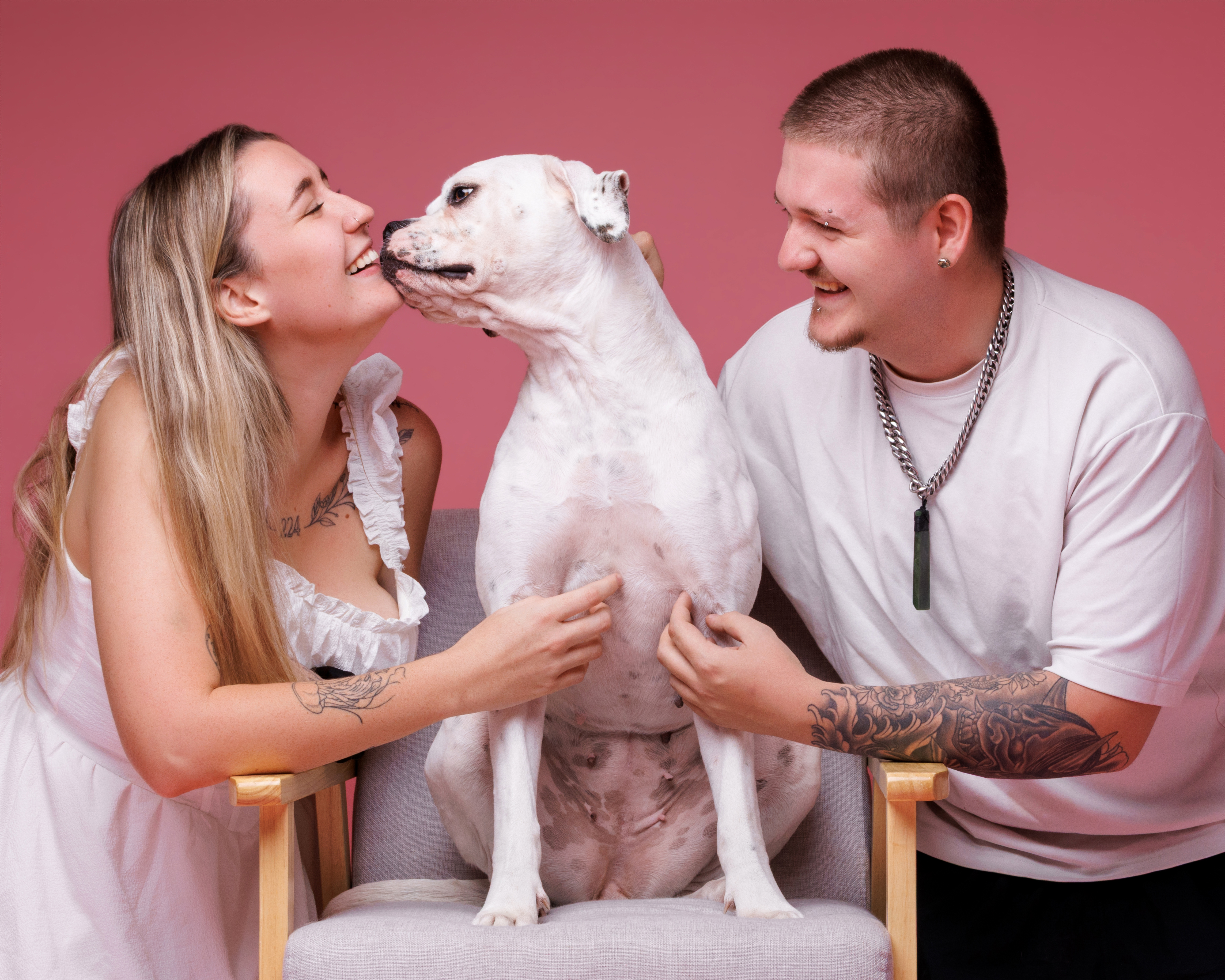 Dog portrait — dog photography Perth by Waggly Studios