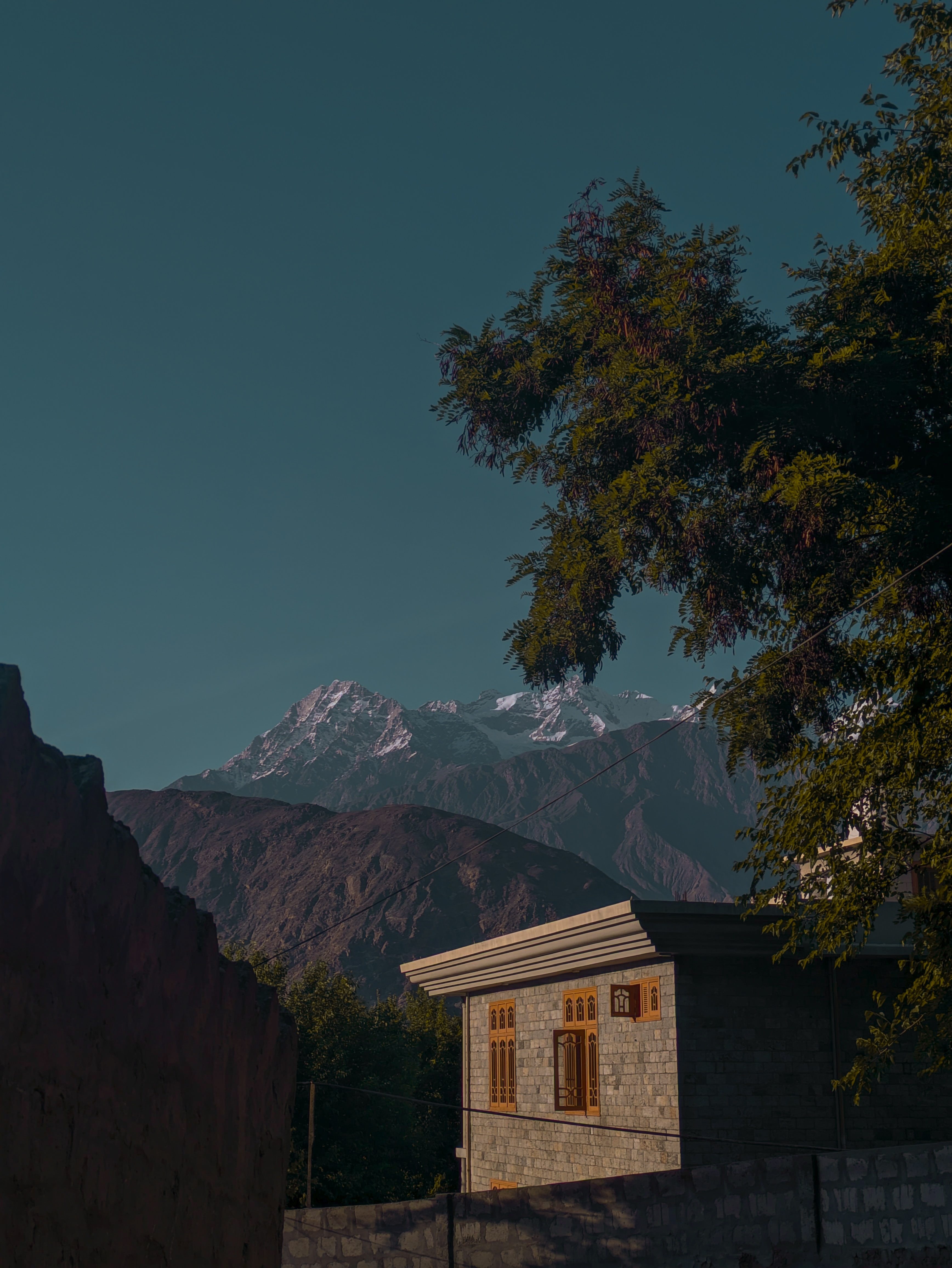 A house beside a tree with snowy mountains in the background.