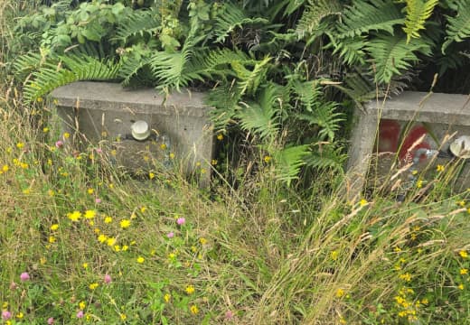 Imagen de 2 Parcelas Polincay