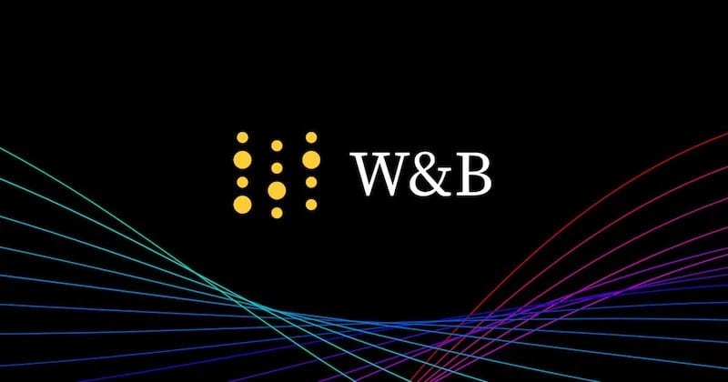 WEIGHTS & BIASES 'FULLY CONNECTED'